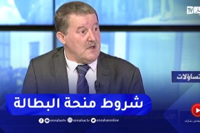 عبد العالي دروة: هذه شروط الإستفادة من منحة البطالة