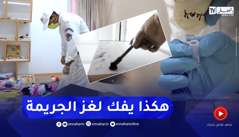 أمن: الشرطة العلمية .. هكذا يتم تحديد العينات والبصمات الوراثية “ADN” في أي جريمة