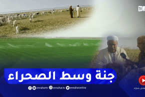 الشيخ النوي: مستثمر فلاحي هرب من تبسة بسبب العراقيل جا لصحراء واد سوف رجعها جنة