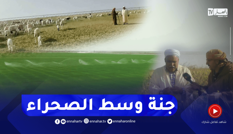 الشيخ النوي: مستثمر فلاحي هرب من تبسة بسبب العراقيل جا لصحراء واد سوف رجعها جنة