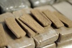 الإطاحة بشبكة مختصة في نقل وترويج المخدرات بتلمسان