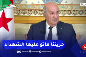 رئيس الجمهورية: مدعي صفة محامي إجتمع مع الناتو في بلجيكا ويتحجج بممارسة حرية التعبير