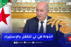 رئيس الجمهورية: إستيراد الحبوب بشكل مباشر من طرف منتجي العجائن رفع أسعاراها