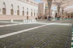 استبدال سجاد المسجد النبوي الشريف بـ 12 ألف سجادة الأكريلك الذكية