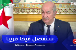 رئيس الجمهورية: مشروعا قانون الإعلام والسمعي بصري سيُعرضا على الحكومة قريبا