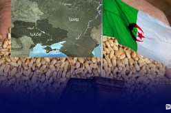 هل ستؤثر الأزمة الروسية-الأوكرانية على استيراد القمح؟..ديوان الحبوب يرد