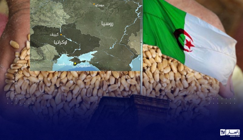 هل ستؤثر الأزمة الروسية-الأوكرانية على استيراد القمح؟..ديوان الحبوب يرد
