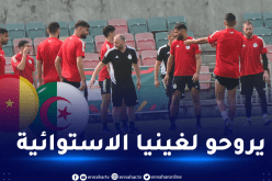 الخضر يبرمجون تربصا بـ”مالابو” تحضيرا لمواجهة الكاميرون