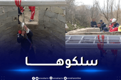 برج بوعريريج: إنقاذ إمرأة بعد سقوطها في بئر