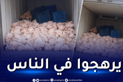 بجاية: حجز أكثر من 65 قنطارا من الدجاج واللحوم الفاسدة بأقبو