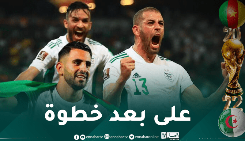 الجزائر / الكاميرون.. الخضر على بعد خطوة نحو خامس مونديال في التاريخ