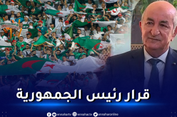 انطلاق بيع تذاكر رحلات الانصار إلى الكاميرون غدا