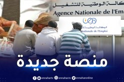 منحة البطالة.. منصة رقمية جديدة و6 مراحل للتسجيل