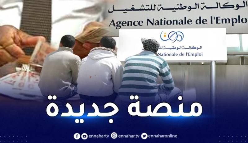 منحة البطالة.. منصة رقمية جديدة و6 مراحل للتسجيل