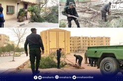 الرياح القوية تتسبب في سقوط 15 شجرة بالبيض