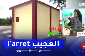 طالع هابط: “أغرب و أول موقف حافلات في العالم يقع في سيدي بلعباس”.. شاهد