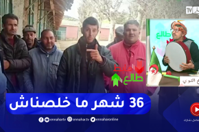 طالع هابط: شاهد الوعود الكاذبة التي يعاني منها عمال الديوان الوطني لتربية الخيول