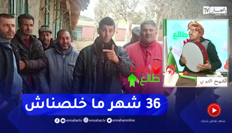 طالع هابط: شاهد الوعود الكاذبة التي يعاني منها عمال الديوان الوطني لتربية الخيول