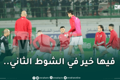 الشوط الأول.. الخضر مُنهزمون أمام الكاميرون