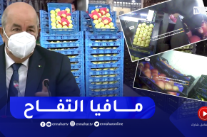 في عز موسم إنتاج التفاح .. تجار يتجاهلون قرارات رئيس الجمهورية ويستوردونه من الخارج