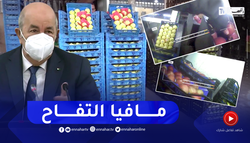 في عز موسم إنتاج التفاح .. تجار يتجاهلون قرارات رئيس الجمهورية ويستوردونه من الخارج