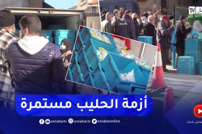 أزمة كيس الحليب مستمرة.. والفلاح الأجنبي المستفيد الأول