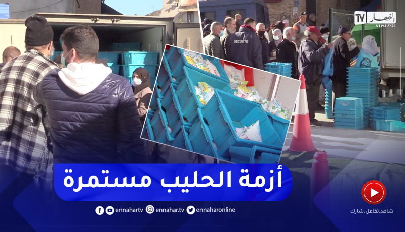 أزمة كيس الحليب مستمرة.. والفلاح الأجنبي المستفيد الأول