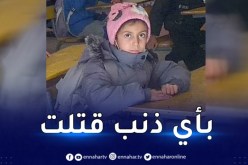 إلقاء القبض على قاتل الطفلة روفيدة