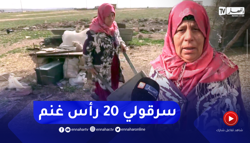 حياة الخالة حضرية تتحول إلى شقاء بعد السطو على قطيع غنمها بأم البواقي