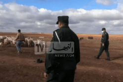درك عين تموشنت يكثف العمل للتصدي لظاهرة سرقة المواشي