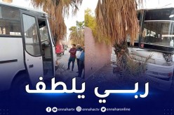 المغير.. 11 جريحا اثر اصطدام حافلة بشجرة