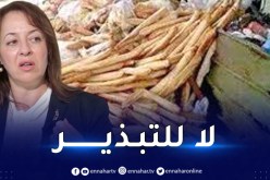 وزيرة البيئة تدعو المواطنين لعدم تبذير الخبز