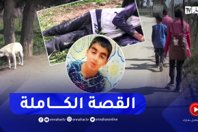 البليدة “كلاب ضالة تضع حد لحياة البراءة “صلاح الدين خليل