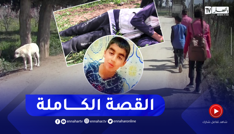 البليدة “كلاب ضالة تضع حد لحياة البراءة “صلاح الدين خليل