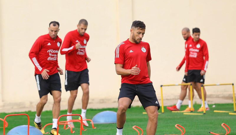 بالصور.. الخضر يواصلون التحضير لإياب المباراة الفاصلة أمام الكاميرون