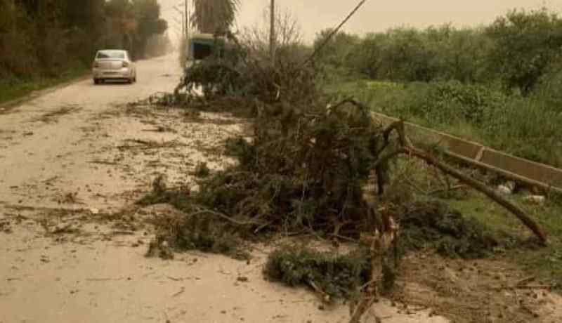 الشلف: إحصاء 15 تدخلا لإزالة مخلفات الرياح في 9 بلديات