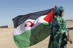 هذا سبب تغير الموقف الإسباني من الصحراء الغربية