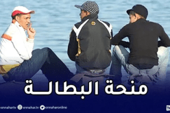 منحة البطالة .. تعرف على تاريخ الإعلان عن المستفدين