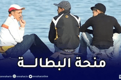 منحة البطالة .. 63 بالمائة نساء و38 بالمائة جامعيين