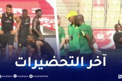 بالفيديو.. منتخب الكاميرون يخوض آخر حصة تدريبية قبل مواجهة الخضر