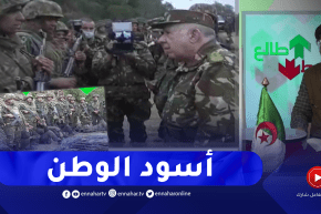 الشيخ النوي: عملية نوعية لأسود الوطن.. أولاد الجزائر دايمن طالعين