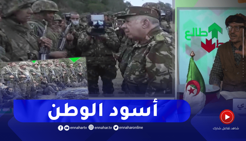 الشيخ النوي: عملية نوعية لأسود الوطن.. أولاد الجزائر دايمن طالعين