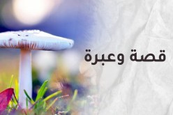القاضي الداهية