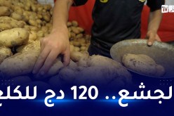 موجة ثالثة لارتفاع سعر البطاطا.. “أدي ولا خلي”