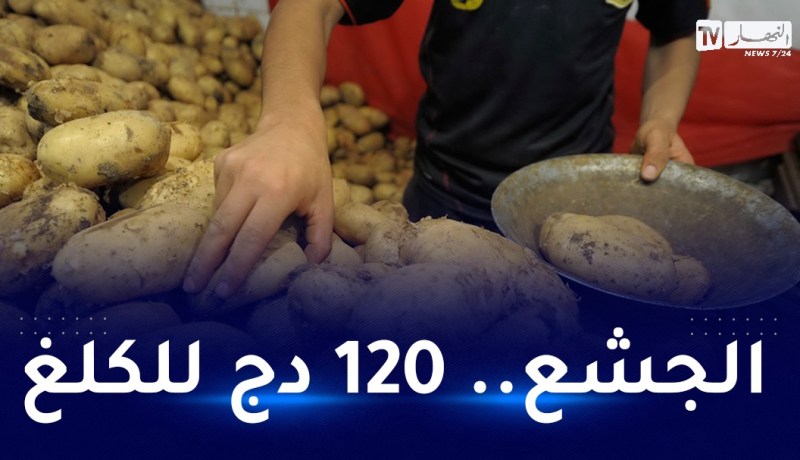 موجة ثالثة لارتفاع سعر البطاطا.. “أدي ولا خلي”