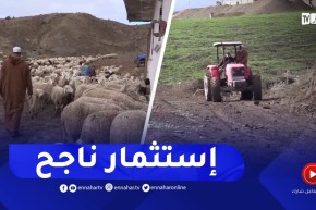 البويرة: بعد عودة الإستقرار للمنطقة..الحاج محفوظ يحول أرض الأجداد إلى إستثمار ناجح