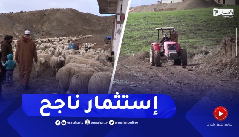 البويرة: بعد عودة الإستقرار للمنطقة..الحاج محفوظ يحول أرض الأجداد إلى إستثمار ناجح