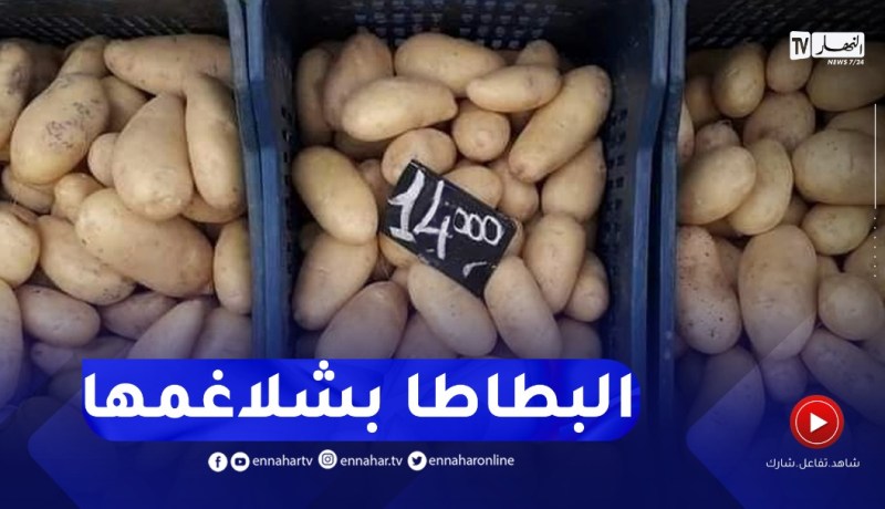 أسعار البطاطا تصل لـ 150 دج ووزارة الفلاحة غائبة ..!