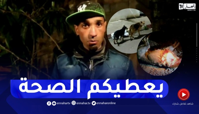 السلطات المحلية بالعفرون تقضي على الكلاب المسعورة التي تسببت في وفاة الطفل صلاح الدين خليل