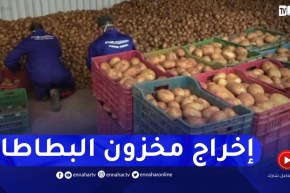 إخراج 15 ألف طن من البطاطا المخزنة لضبط الأسعار